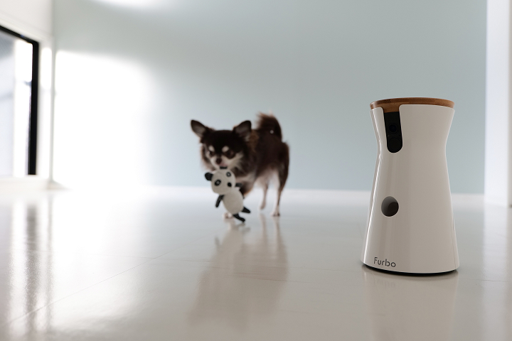 ペットの足腰にやさしい獣医さんおすすめ「愛犬の床」施工済