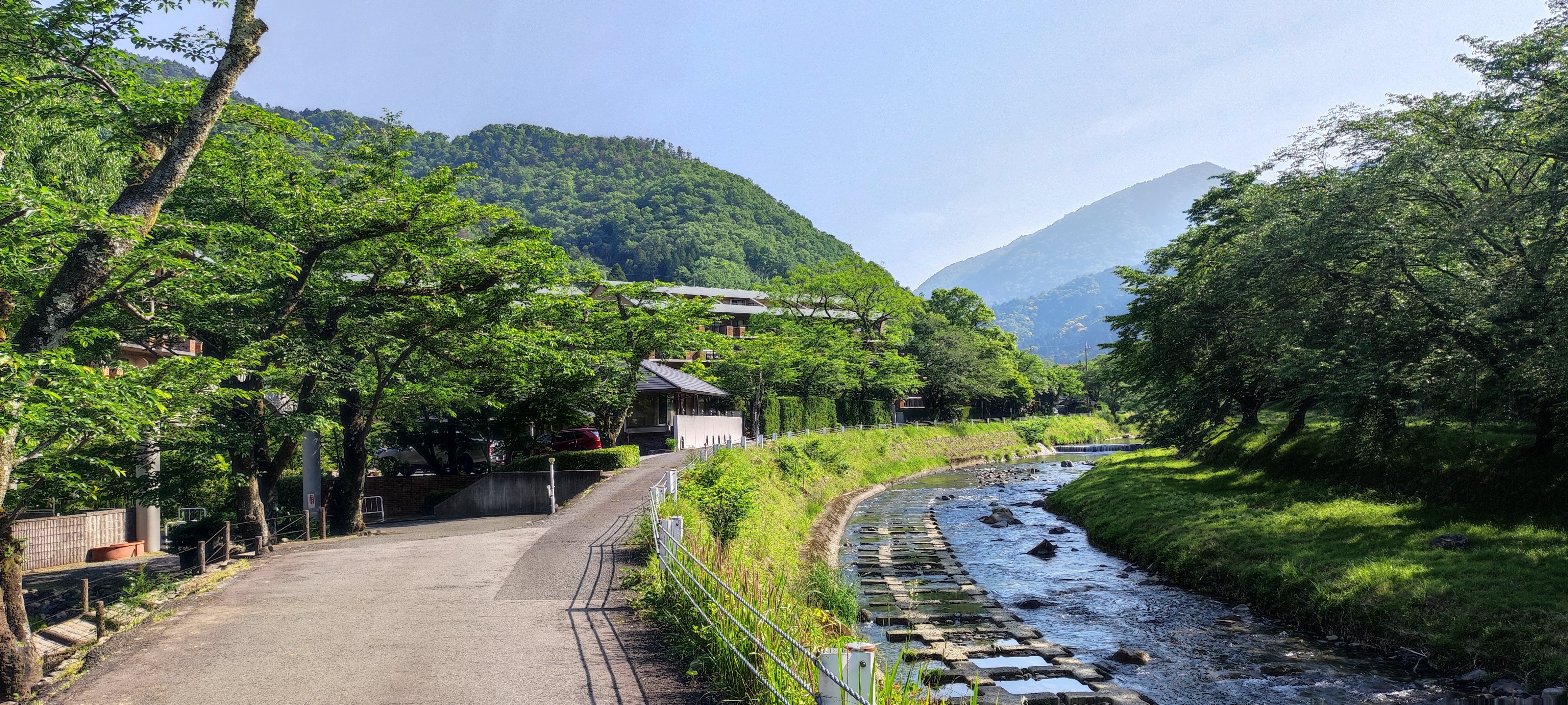 周辺の四季（夏）