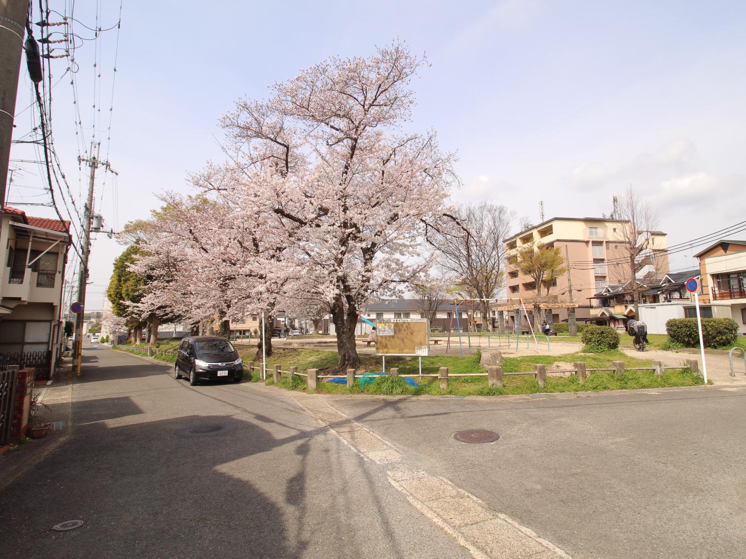 甲ノ辻公園