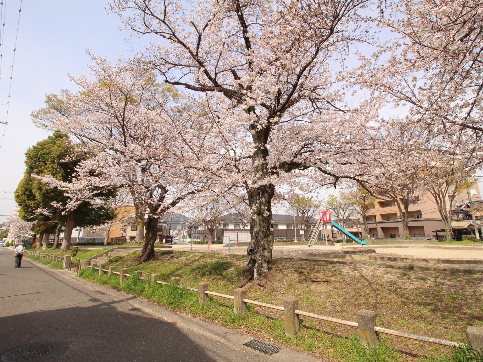 甲ノ辻公園